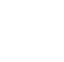 BITS logo skull
